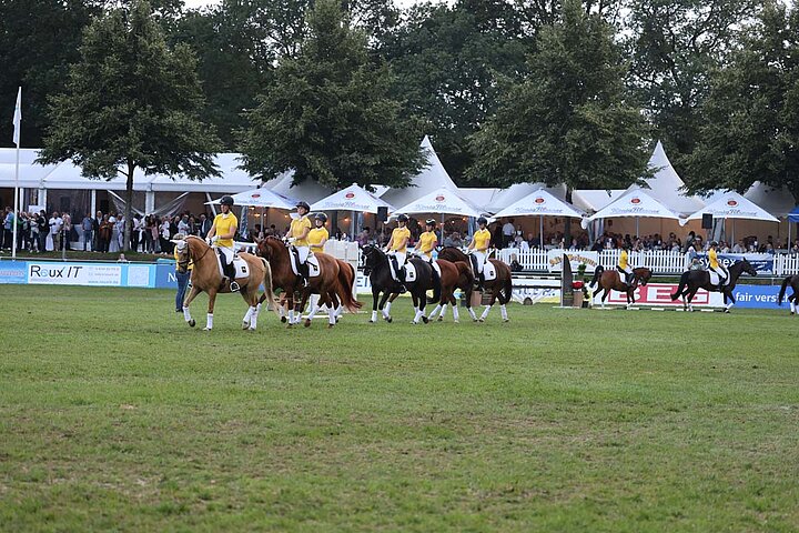 Pony Quadrille
