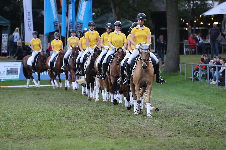 Pony Quadrille